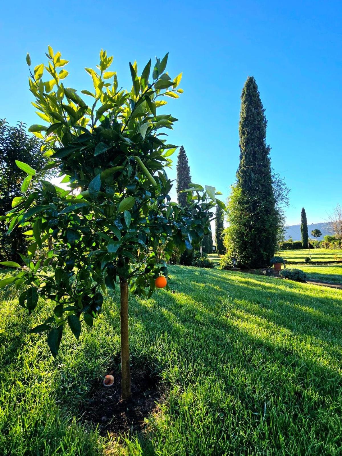 Agriturismo Le Grotte Nemi Exterior photo